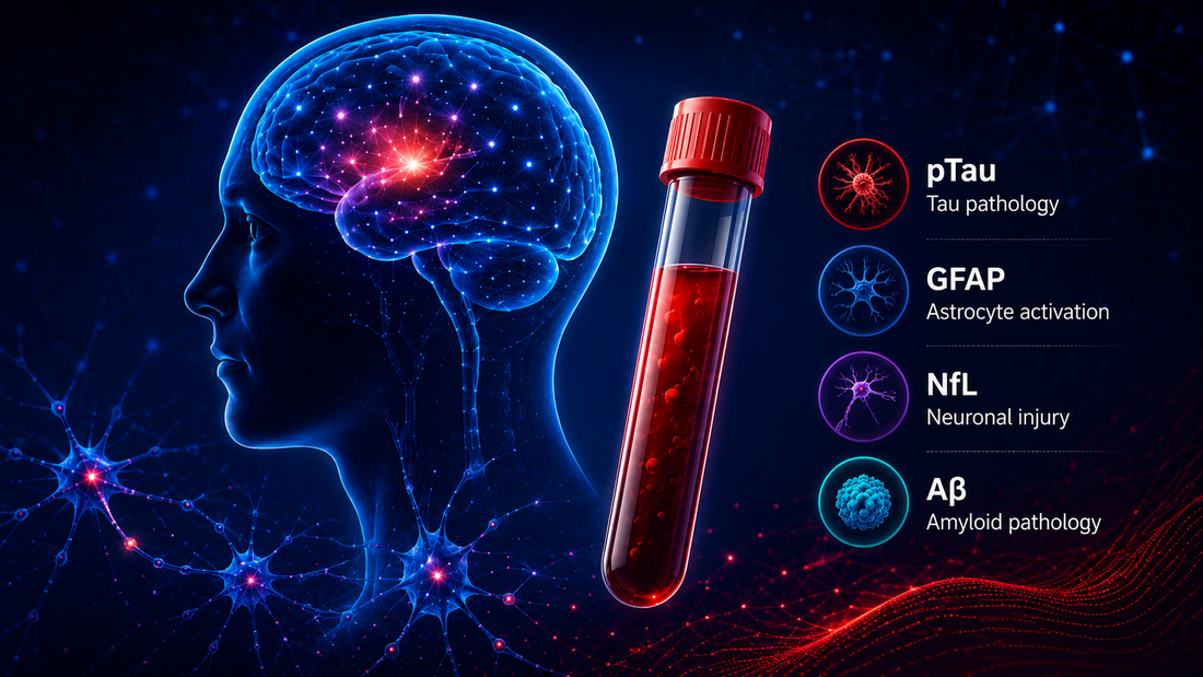 Blood-Based Neuro Biomarkers: The Rise of pTau217, GFAP and NfL in Alzheimer’s Research