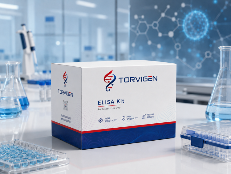 Oxidative Stress Biomarker ELISA Kits