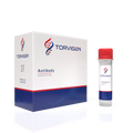 Anti-Adiponectin (ADPN) Monoclonal Antibody