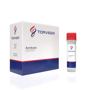 Anti-Adiponectin (ADPN) Monoclonal Antibody
