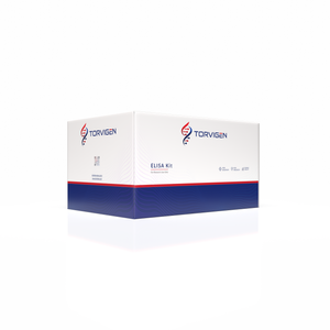 Low Sample Volume ELISA Kit for Vascular Endothelial Growth Factor C (VEGFC)